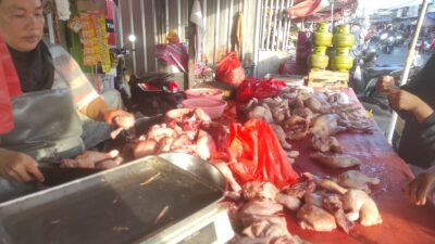 Harga Ayam Tembus Rp45 Ribu per Kilogram, Pasokan Seret Jadi Pemicu