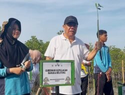 Selamatkan Pesisir sebelum Terlambat, 3.000 Mangrove Ditanam di Pantai Menuang