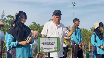 Selamatkan Pesisir sebelum Terlambat, 3.000 Mangrove Ditanam di Pantai Menuang