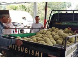 Melon Petani Air Belo Masuk Dapur SPPG, 700 Kilogram Siap Lengkapi Menu Makan Bergizi