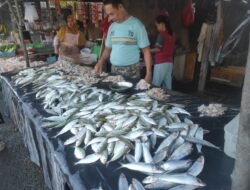 Angin Kencang, Harga Ikan Melambung, Emak-Emak Pilih Menu 3T