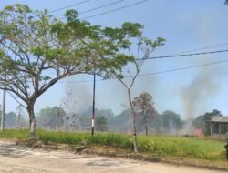 El Nino Menguat, Karhutla Mengintai, Kelurahan Temberan Jadi Titik Rawan