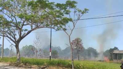 El Nino Menguat, Karhutla Mengintai, Kelurahan Temberan Jadi Titik Rawan