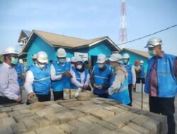 Tak Hanya Jadi Batako, PLN Olah FABA untuk Ketahanan Pangan