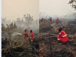 534 Titik Panas Terdeteksi, Kalimantan Mulai Dikepung Ancaman Karhutla
